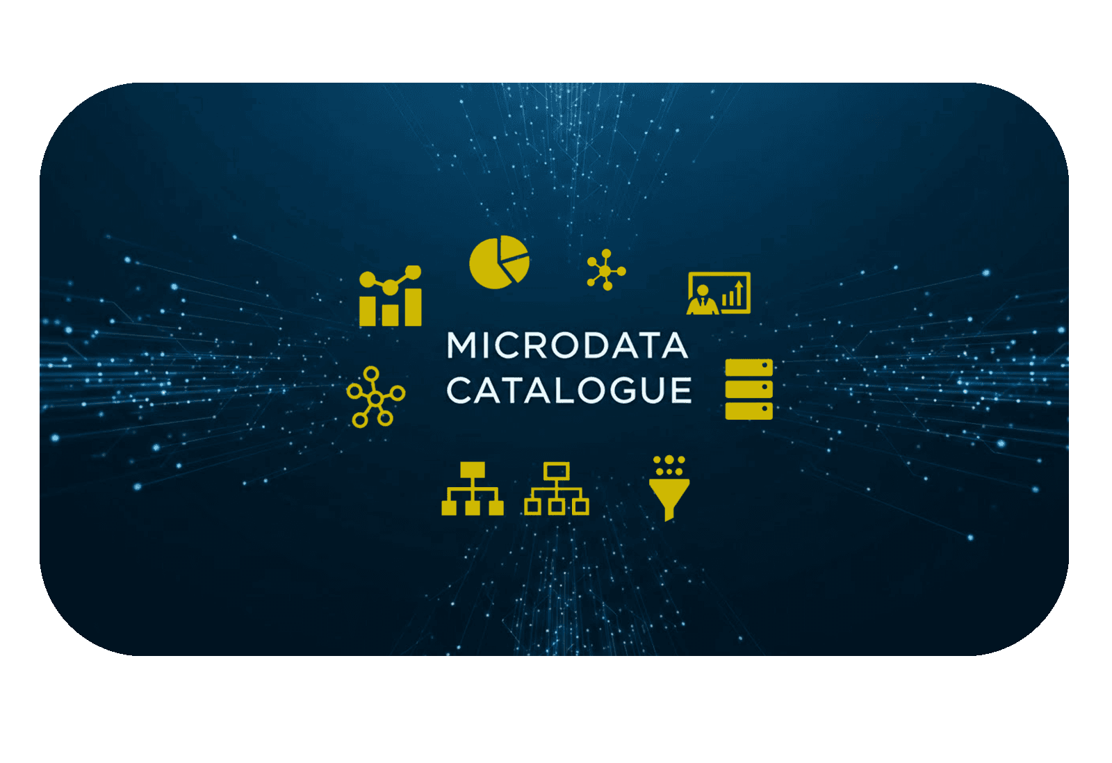 Microdata Catalogue