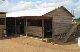 A wooden shed with a slide

Description automatically generated