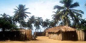 Image result for images of Palm leaves houses in Ghana