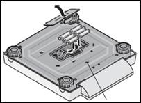 Seca 878 scale2