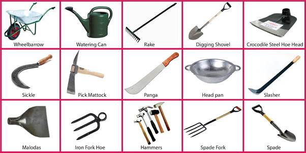 A collage of various gardening tools

Description automatically generated